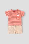 Popees Baby Boys Cotton Summer T-Shirt & Shorts Co-ord Set| 3-36 Months