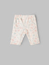 Popees Baby Girls Knitted Pants Pack of 2| Newborn - 9 Months