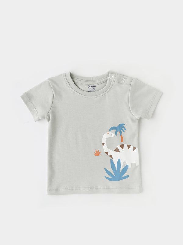 Tshirt for baby boys